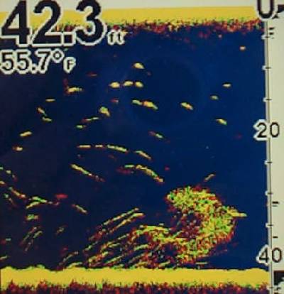 fish finder sonar
